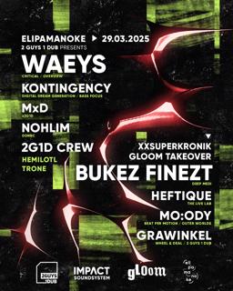 2 Guys 1 Dub Presents: Waeys & Bukez Finezt