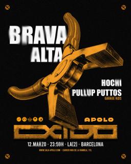 Oxido: Brava + Alta + Pullup Puttos + Hochi