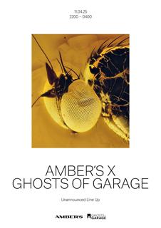 Amber'S X Ghosts Of Garage