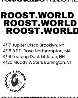 Roost.World In New Hampshire