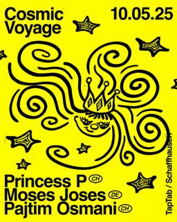 Cosmic Voyage