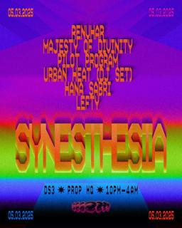 Ds3 Presents - Synesthesia: Sound & Light