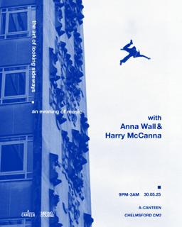 The Art Of Looking Sideways With Anna Wall & Harry Mccanna