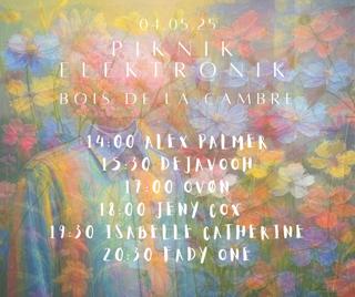 Piknik Elektronik