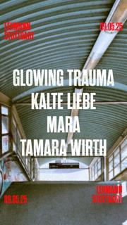Blume Auf Asphalt By Kalte Liebe
