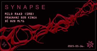 Synapse With Milo Raad, Prägnanz, Kinga, Ml91, Dé