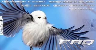 Faq X Mäss With Bobby Beethoven (Fka Total Freedom) / Salt_Server / 