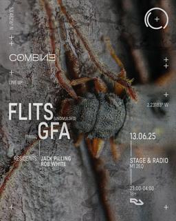 Combine: Flits, Gfa + Residents