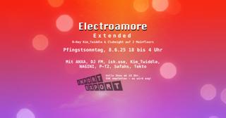 Electroamore Extended