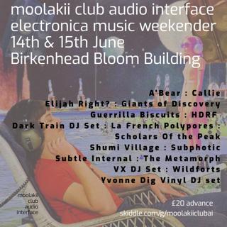 Audio Interface
