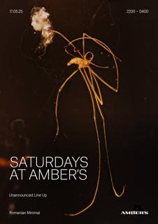 Saturdays At Amber'S: Romanian Minimal
