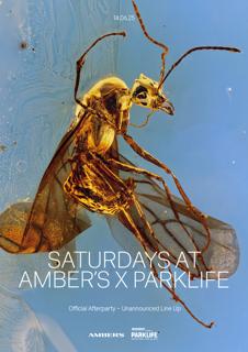 Saturday'S At Amber'S X Parklife