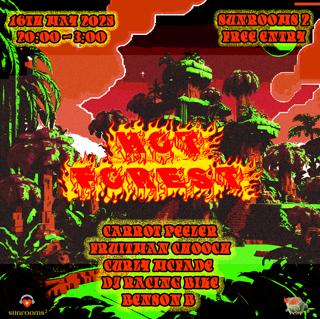 Hot Forest And The Spring Blaze