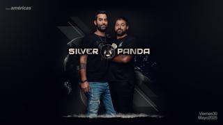 Silver Panda