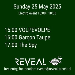 Electro: Volpevolpe, Garçon Taupe, The Spy