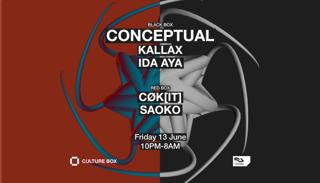 Conceptual / Kallax / Ida Aya / Cøk[It] / Saoko