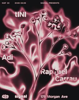 Signal: Tini, Adi, Raphael Carrau, Kiyoshi