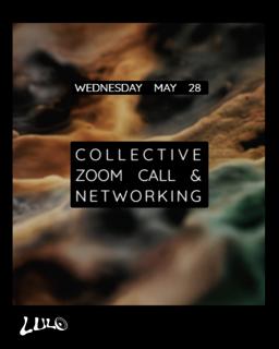Lulo Team Invites: Zoom Call // Networking