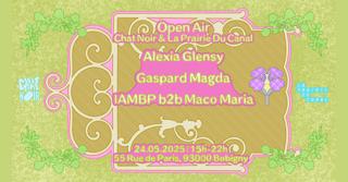 Open Air ~ Chat Noir & La Prairie Du Canal