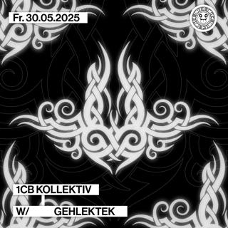 1Cb X Gehlektek