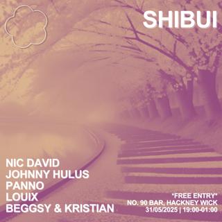 Shibui 3Rd Birthday At No90 Bar *Free Entry*