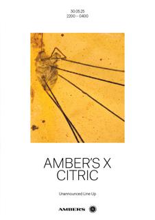Amber'S X Citric
