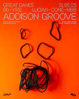 6 Years Of Great Danes With Addison Groove, Residents + Friends