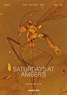 Saturdays At Amber'S: House | Tech House | Techno