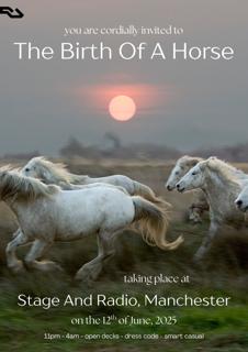 The Birth Of A Horse