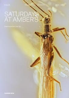 Saturdays At Amber'S: House | Disco | Electronic