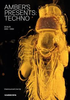 Amber'S Presents: Techno