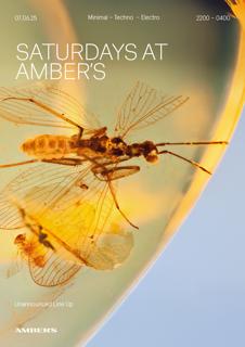 Saturdays At Amber'S: Minimal | Techno | Electro