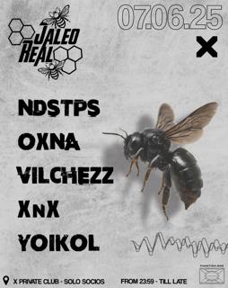 Jaleo Real #047