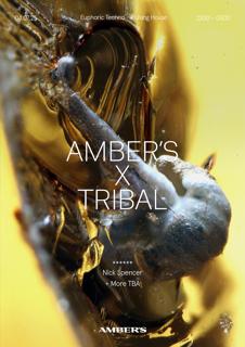 Amber'S X Tribal