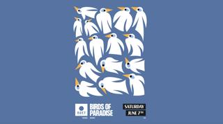 Birds Of Paradise - Bret
