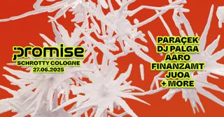 Promise With Paraçek, Dj Palga, Aaro