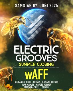 Electric Grooves With Waff