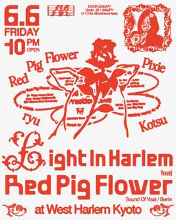 Light In Harlem