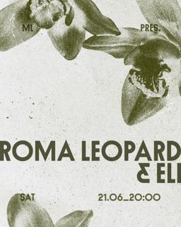 Ml Pres. Roma Leopard & Eli