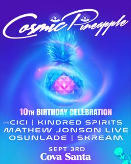 Cosmic Pineapple