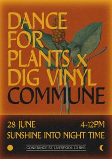 Dance For Plants - Sunshine Into Night Time