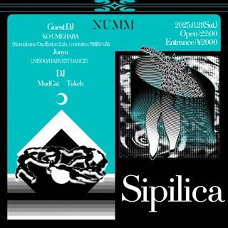 Sipilica