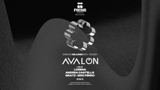 Pacha Pres: Avalon W Lorena, Andrea Castells, Gratz, Eric Ferro