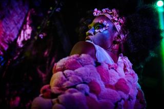 House Of Lunacy - Midsummer Dreams