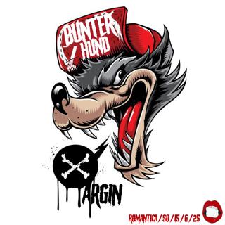 Bunter Hund Am Sonntag Mit Argin