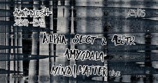 Avant-Mosh [Amygdala, Æstr & Alpha Sect, Mind I Matter]