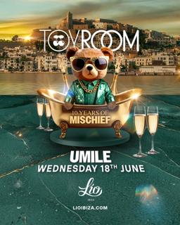 Toy Room
