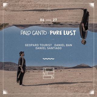 Palo Canto
