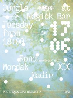 Jungle At Magick Bar