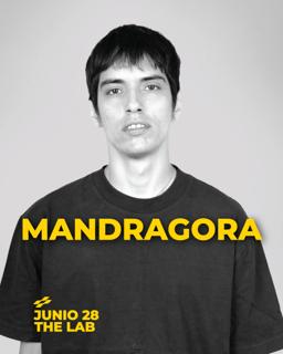 Mandragora En Guadalajara
